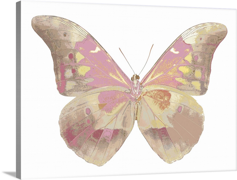 Illustration of a butterfly in shades of pink and gold on a white background.