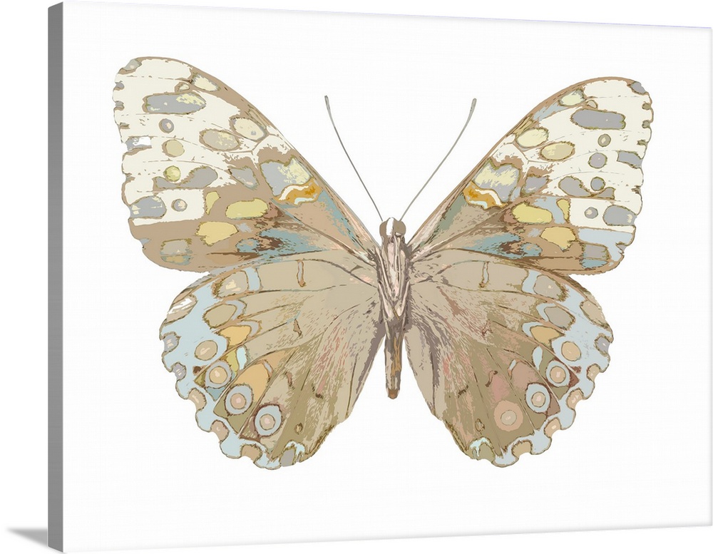 Illustration of a taupe, blue, and yellow butterfly on a white background.