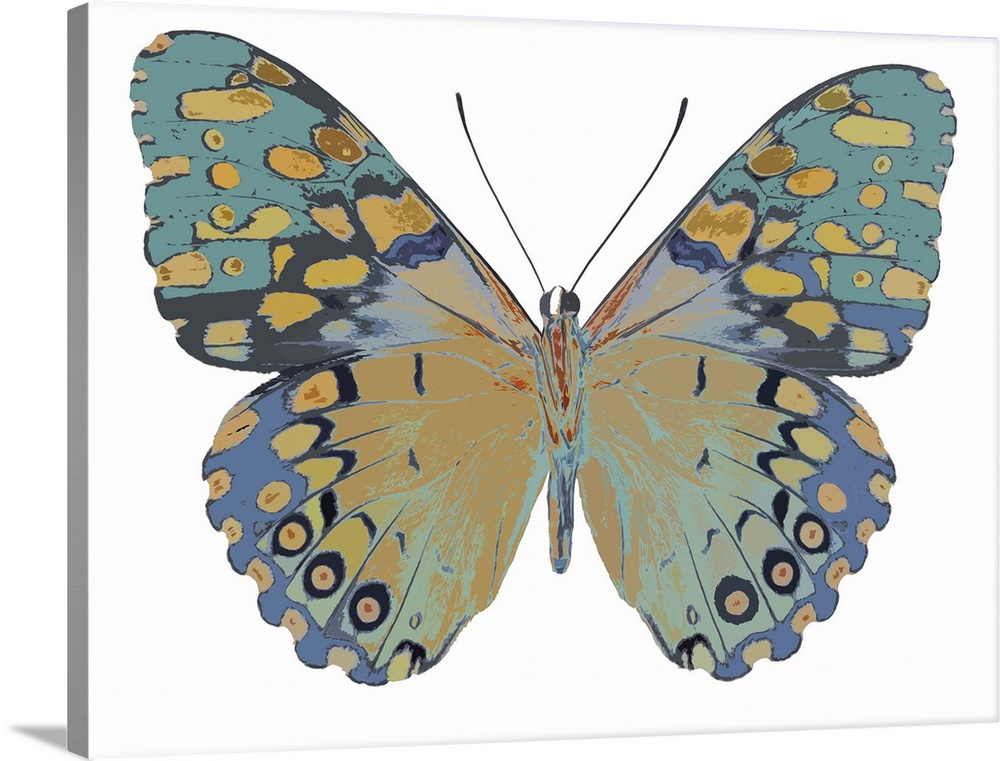Illustration of a butterfly in shades of blue and gold on a white background.