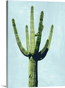 Cactus on Blue III image thumbnail