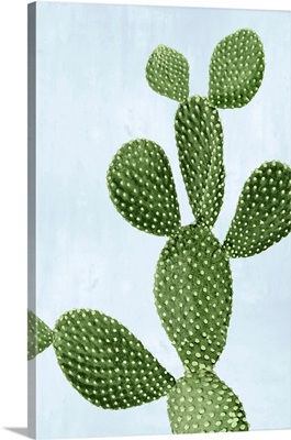 Cactus on Blue VI