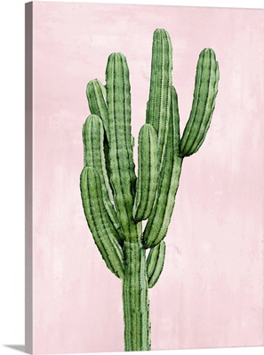 Cactus on Pink I