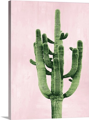 Cactus on Pink II