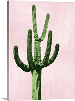 Cactus on Pink IV