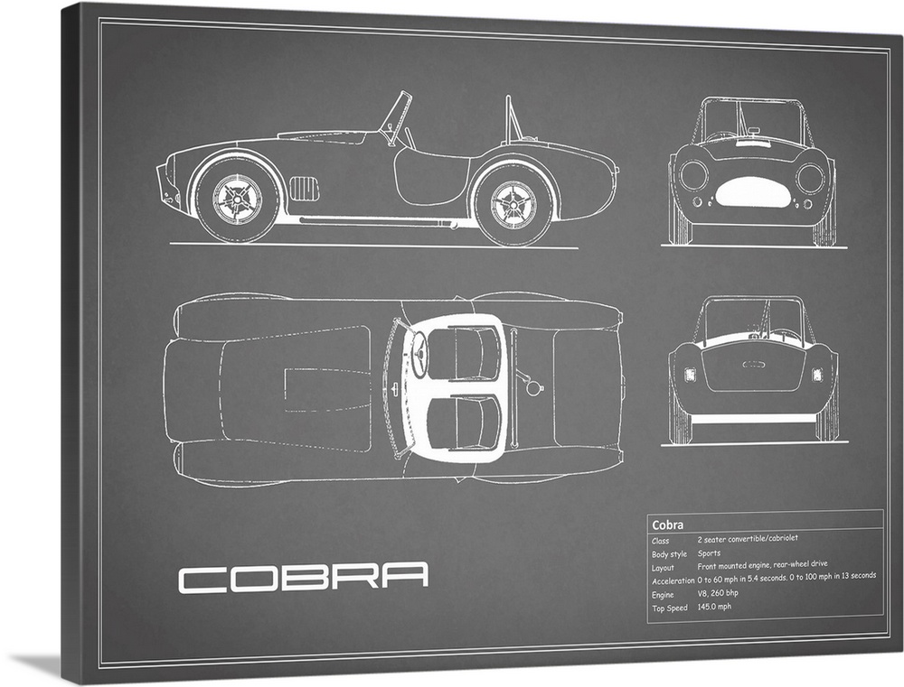 Antique style blueprint diagram of a Cobra printed on a Grey background.