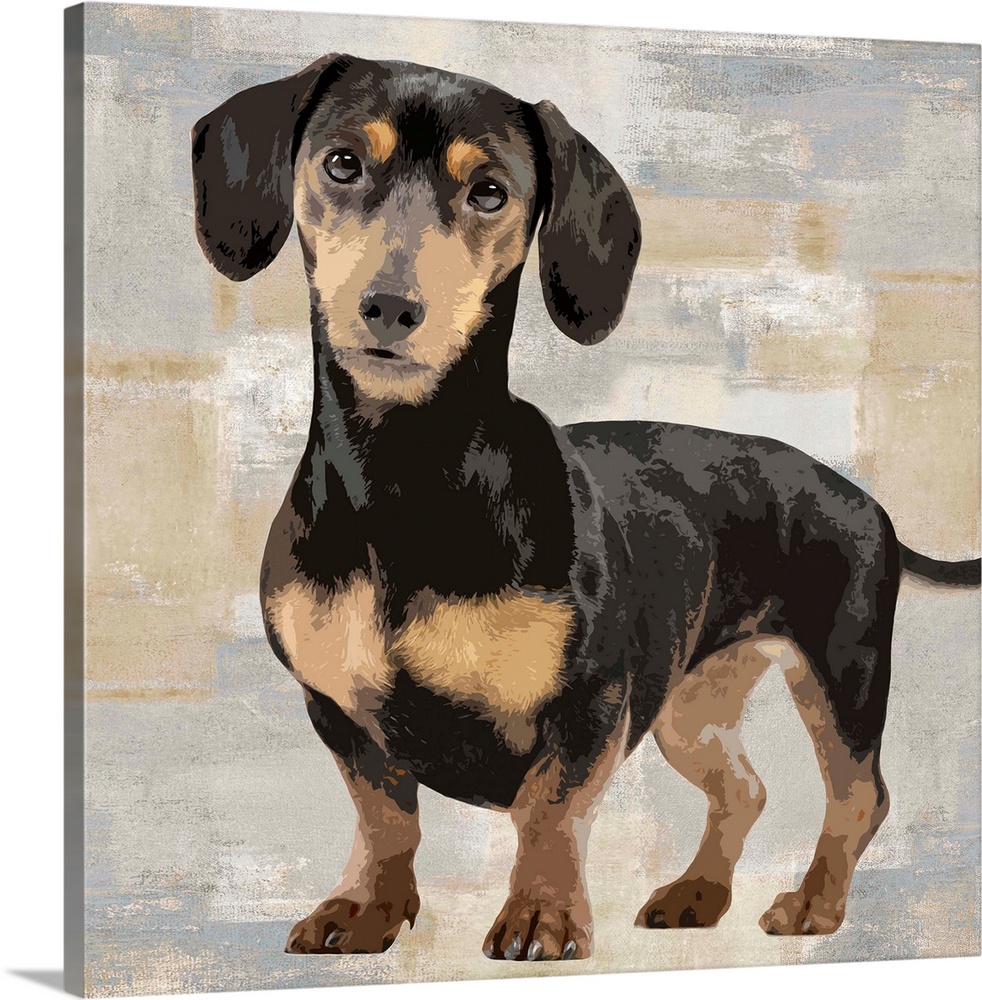 Square decor with a portrait of a Dachshund on a layered gray, blue, and tan background.
