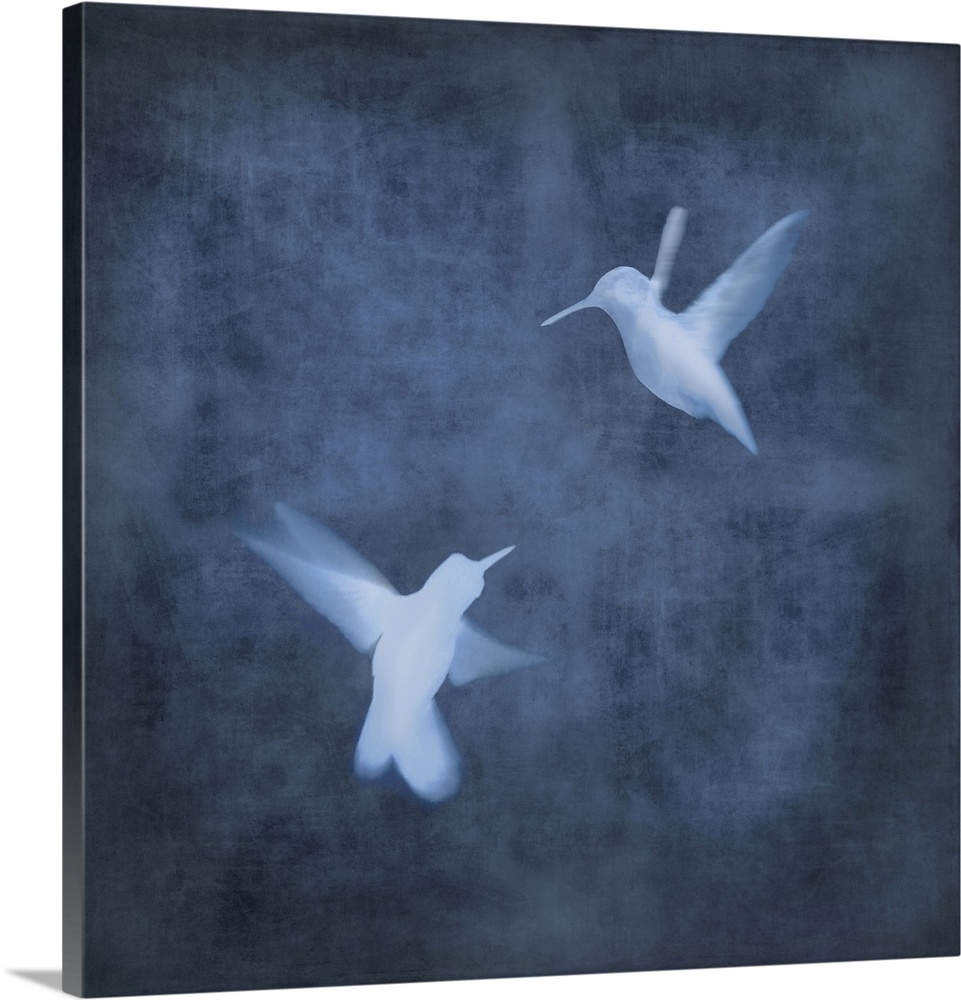 Square decor with two white silhouetted birds in flight on an indigo background.