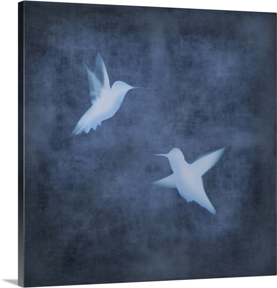 Square decor with two white silhouetted birds in flight on an indigo background.