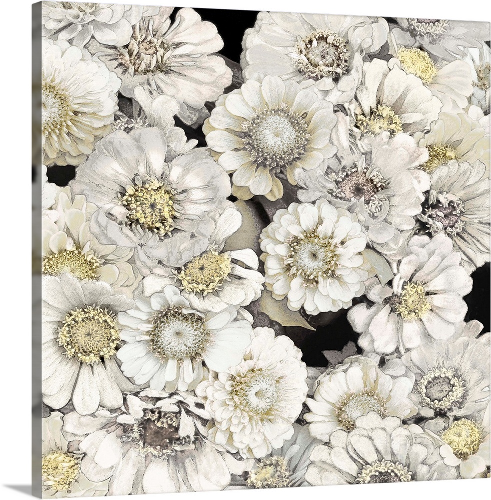 Decorative artwork featuring soft white flowers over a black background.