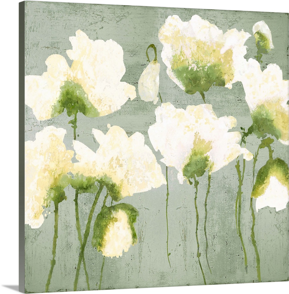 White watercolor poppies against a distressed gray background.