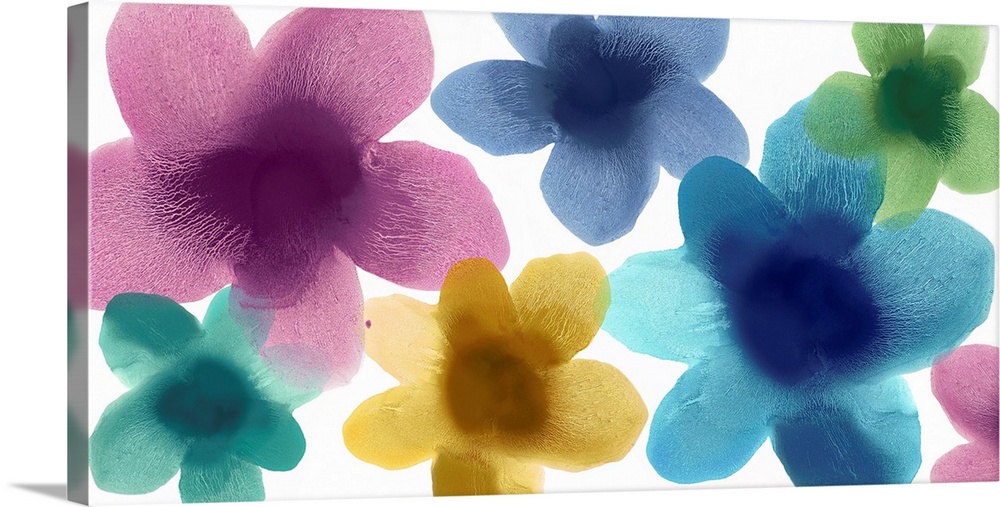 Colorful translucent floral silhouettes on a bright white background.