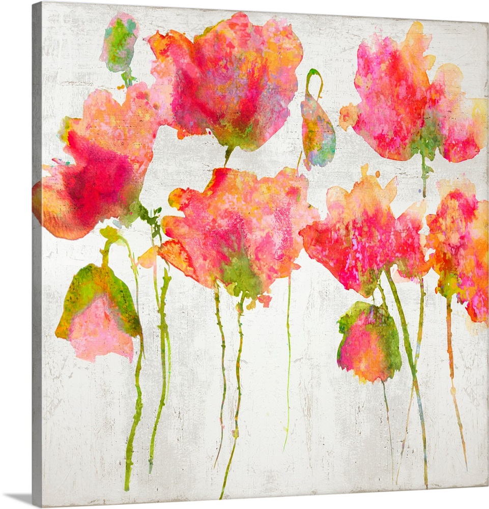 Pink watercolor poppies against a distressed white background.