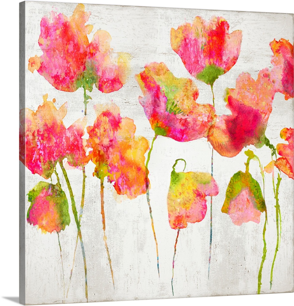 Pink watercolor poppies against a distressed white background.