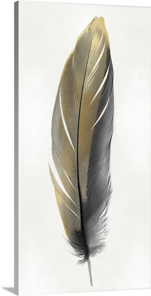 Illustration of a black and metallic gold feather on a shiny silver background.