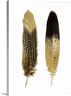 Gold Feather Pair