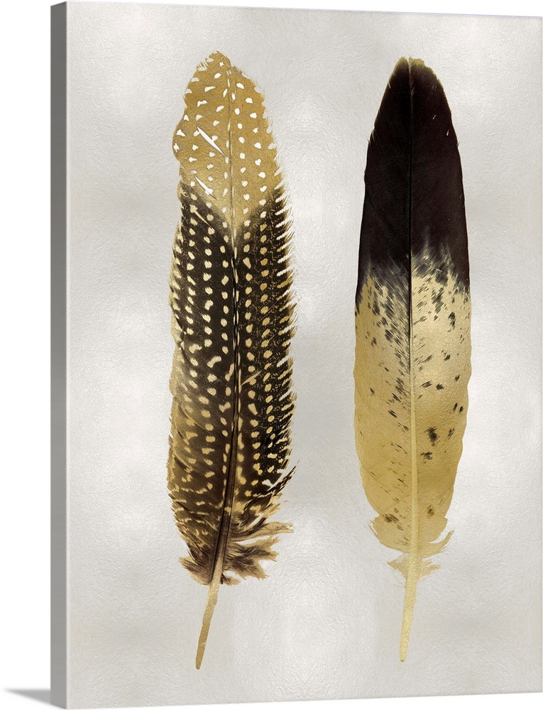Illustration of two black and metallic gold feathers on a shiny silver background.