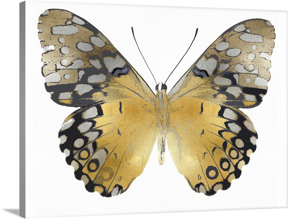 Illustration of a gold, silver, and black butterfly on a white background.