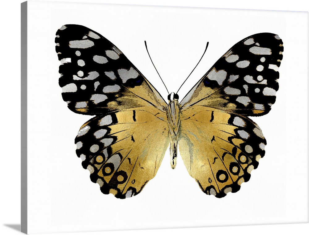 Illustration of a gold, silver, and black butterfly on a white background.