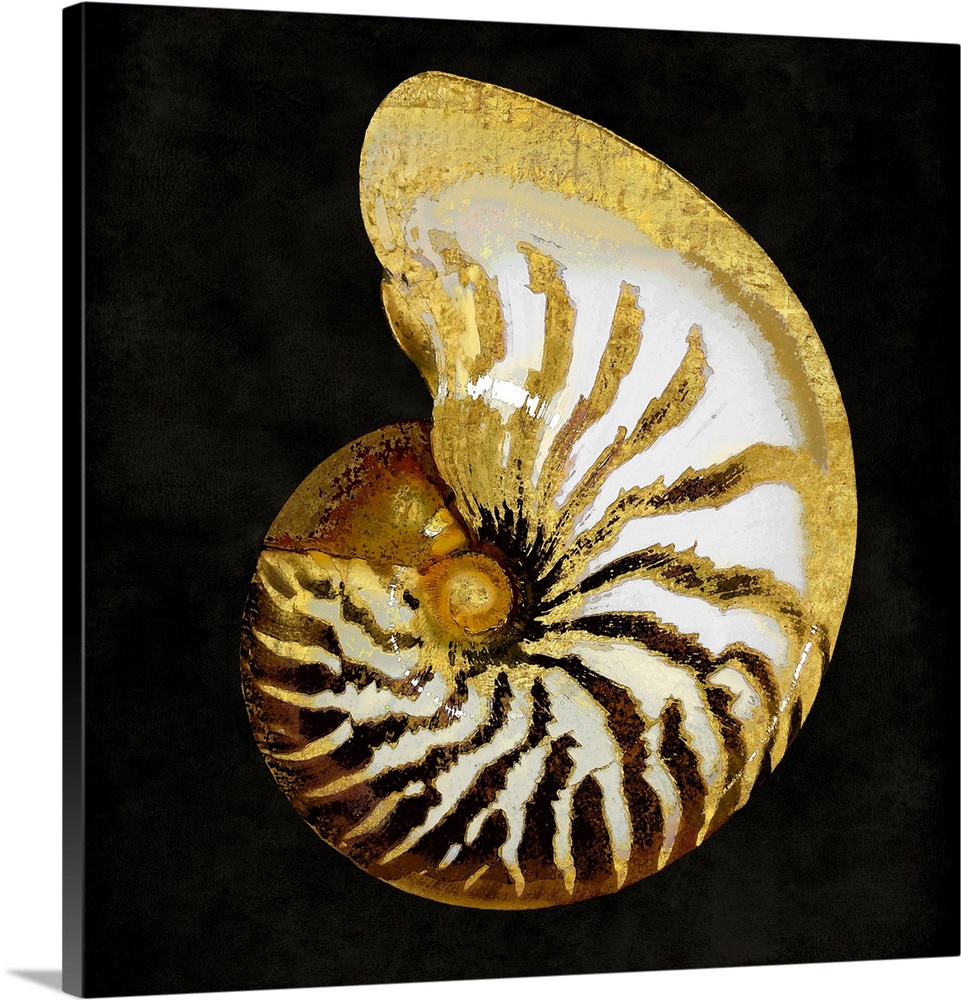 Square decor with a gold and white seashell on a black background.