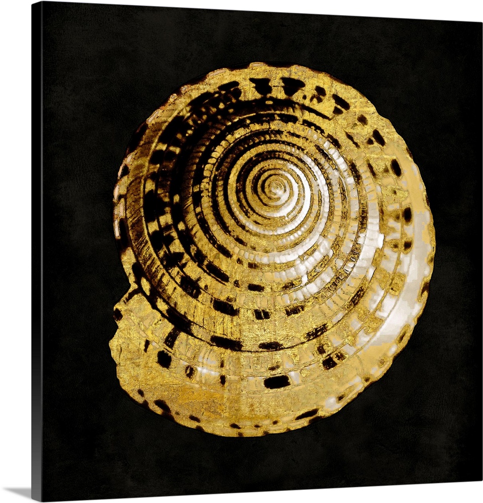 Square decor with a gold and white seashell on a black background.