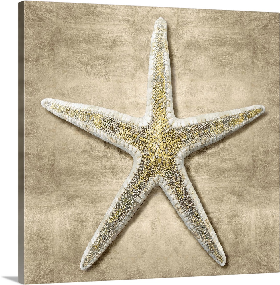 Square beach decor that has a starfish with gold flakes on a neutral colored background.