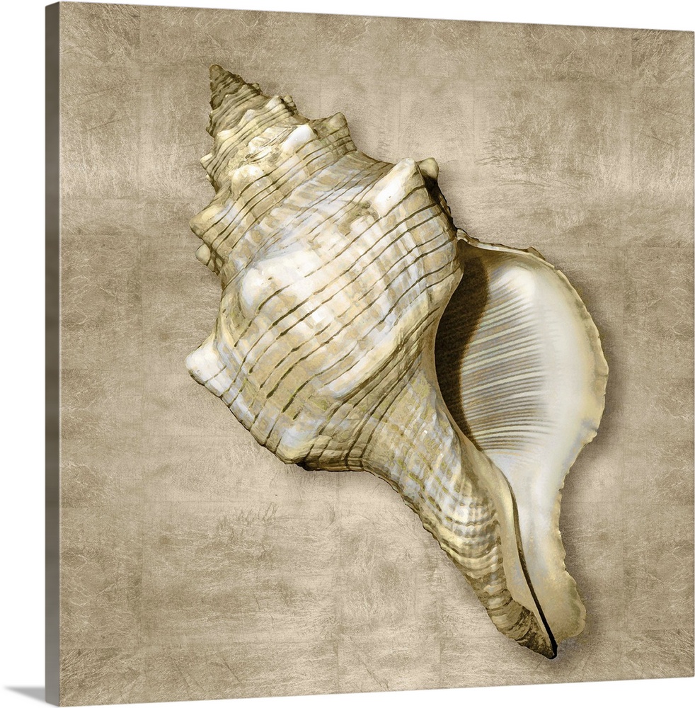 Square beach decor that has a conch shell with gold flakes on a neutral colored background.