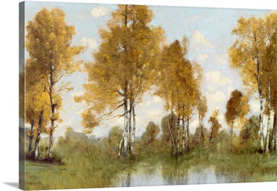 Golden Tree Pond I