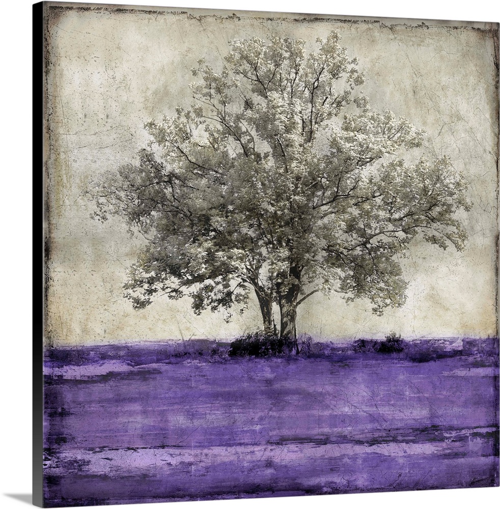 Single gray scaled oak tree with a little bit of gold isolated on a distressed gray and white background with purple grass.