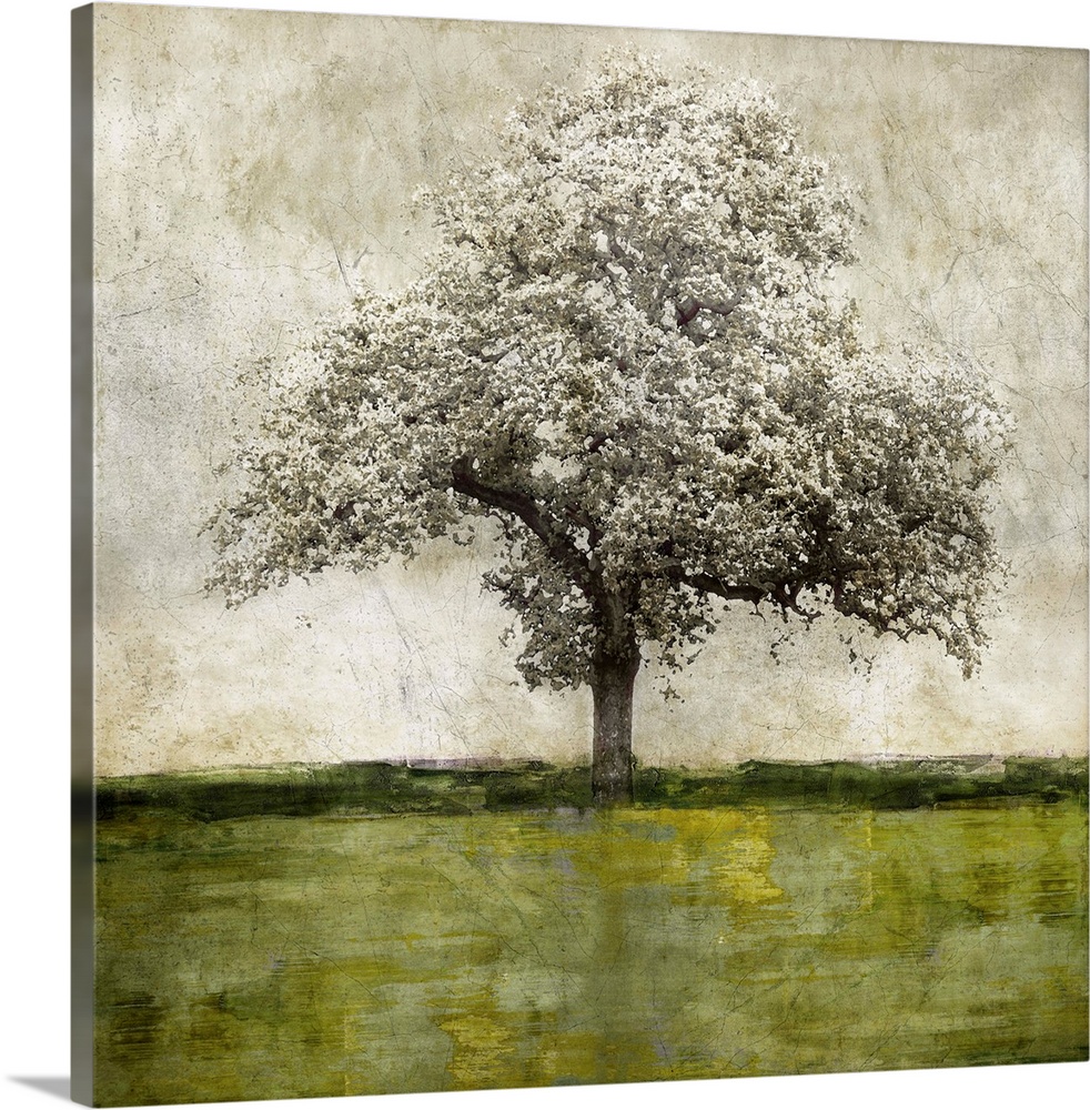 Single gray scaled oak tree with a little bit of gold isolated on a distressed gray and white background with green and ye...