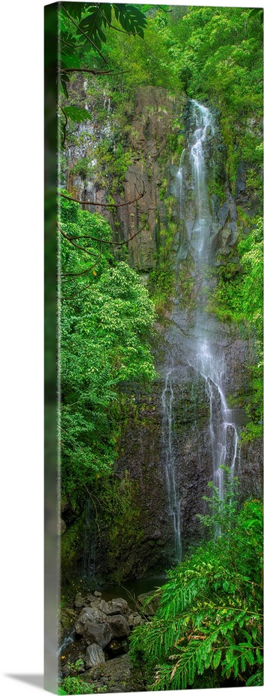 Tall panoramic photograph of a waterfall in Maui surrounded by lush greenery.