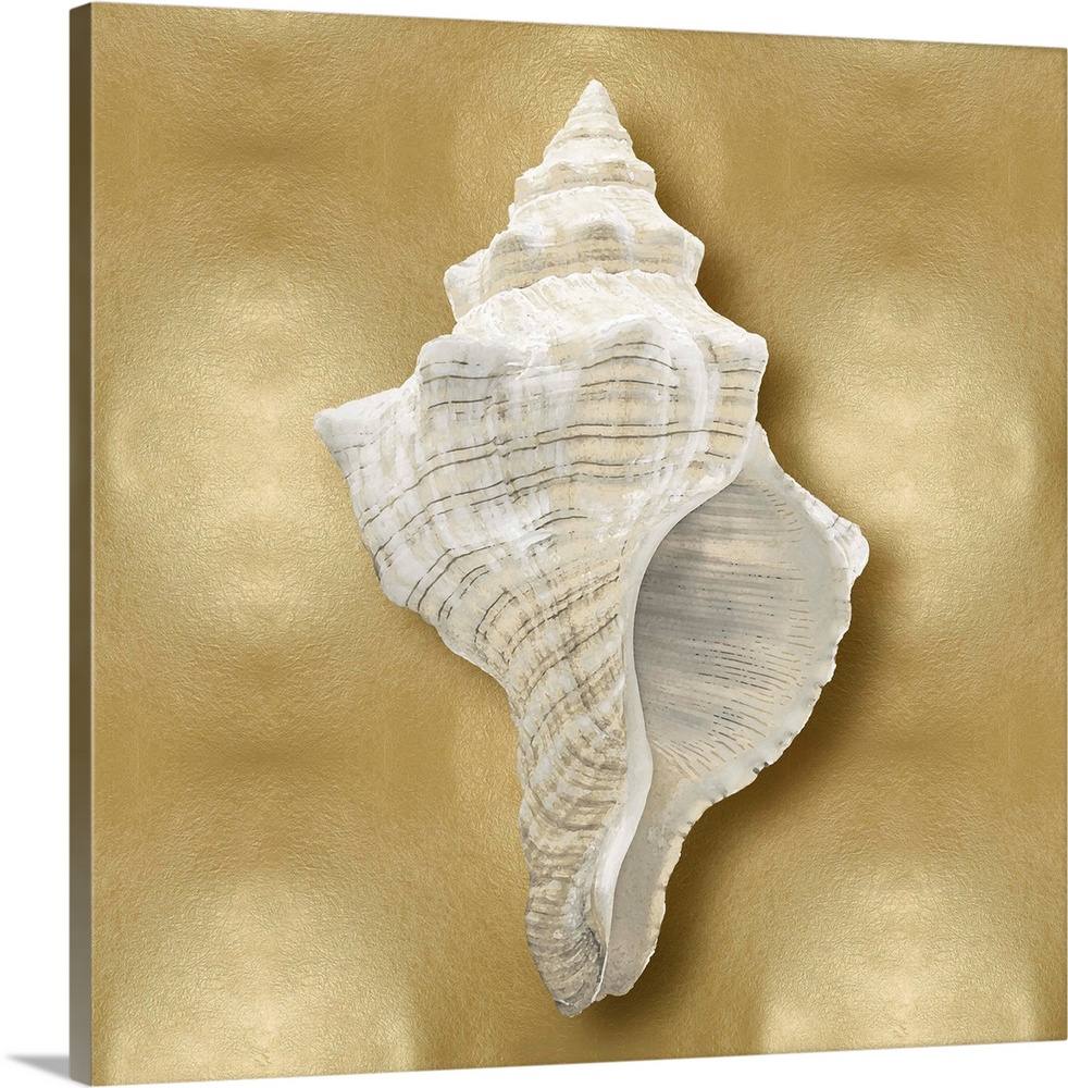 Square beach decor with a conch shell on a gold background.
