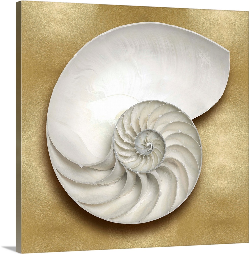 Square beach decor with a nautilus shell on a gold background.