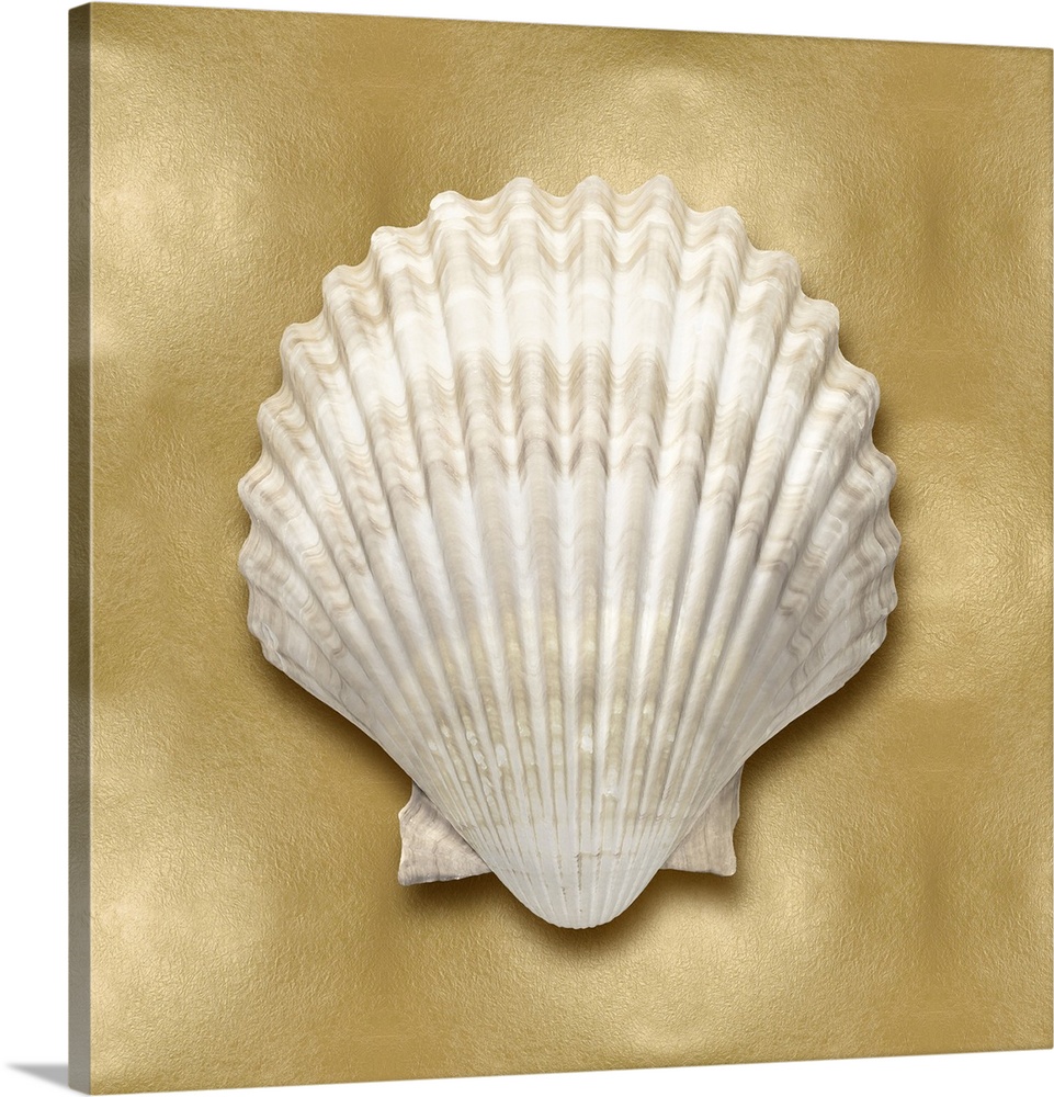 Square beach decor with a seashell on a gold background.