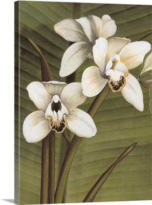 Orchid with Palm I