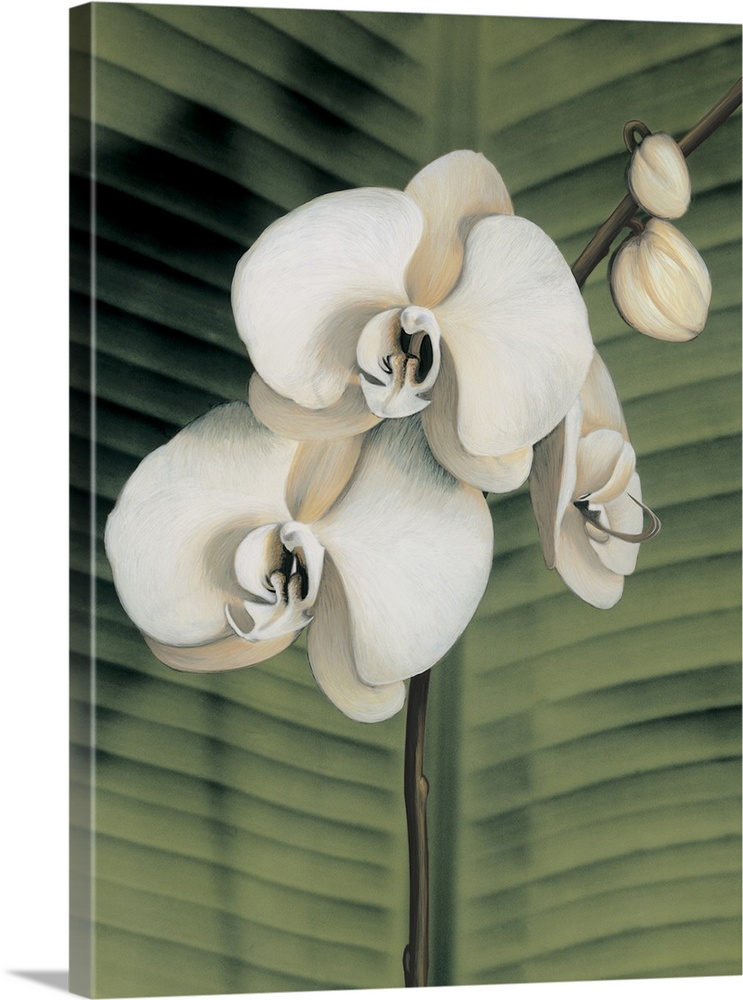 Contemporary painting of three white orchids with a palm leaf background.