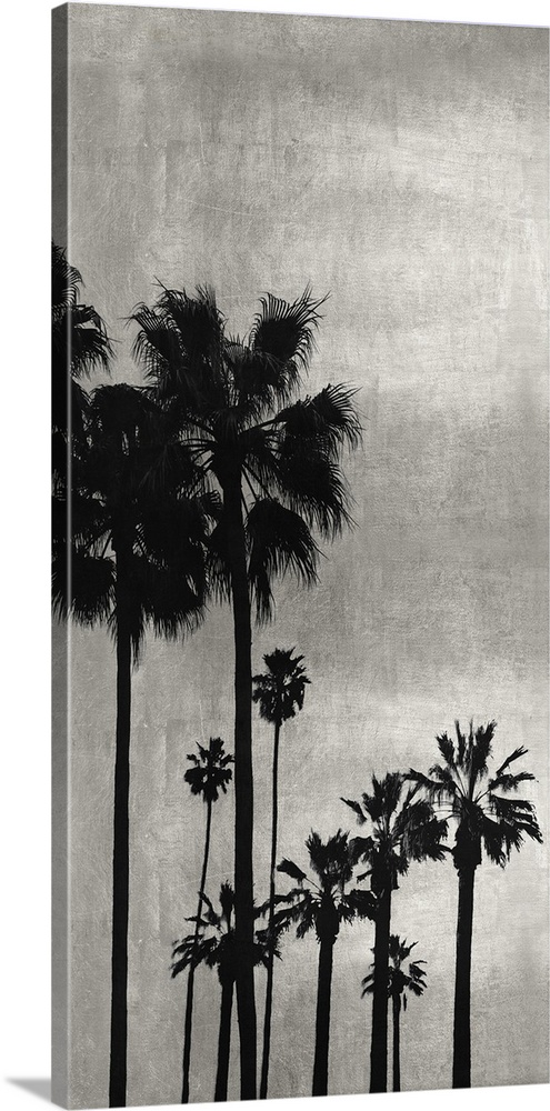 Decorative artwork featuring a black silhouette of a palm tree over a distressed background.