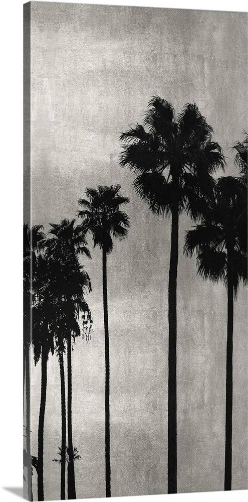 Decorative artwork featuring a black silhouette of a palm tree over a distressed background.