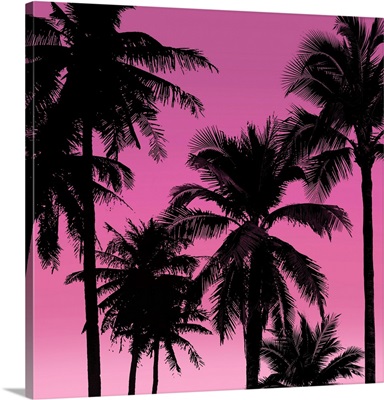 Palms Black on Pink II