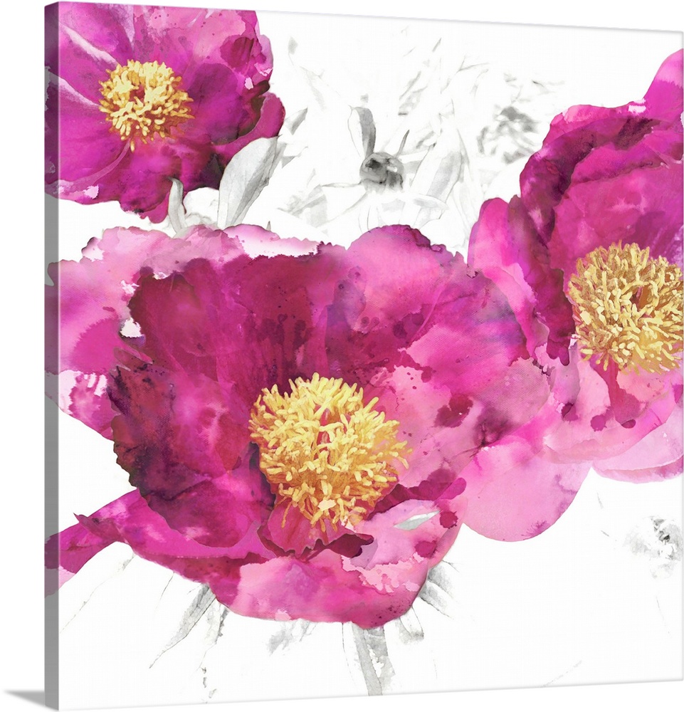 Square decor with bright pink poppies with gold centers on a white background with light sketches.