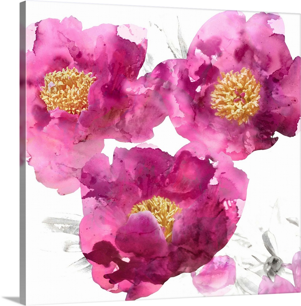 Square decor with bright pink poppies with gold centers on a white background with light sketches.