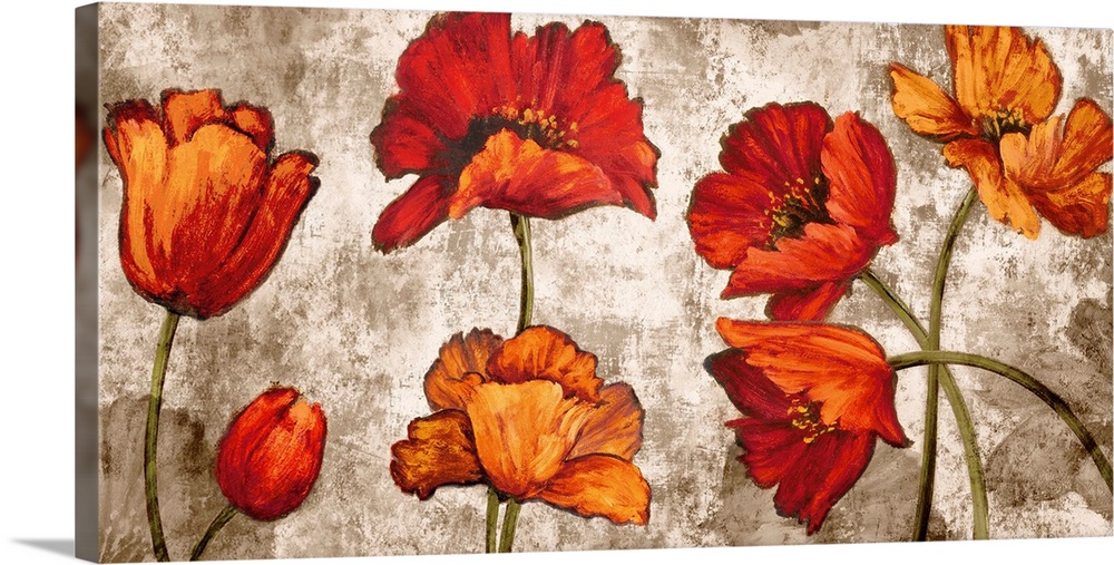 Wide painting of orange and red poppy flowers on a distressed white and brown background.