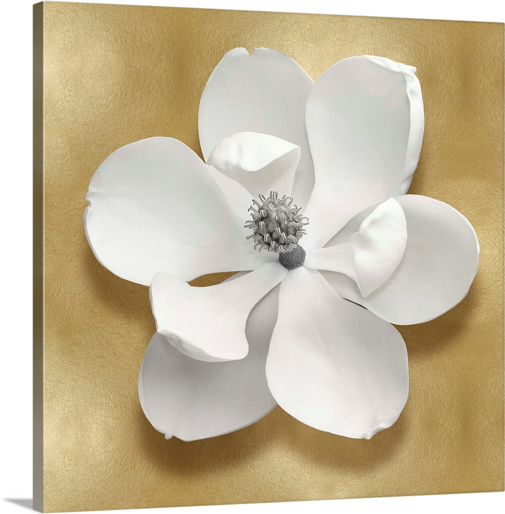 Square decor with a white magnolia flower on a gold background.