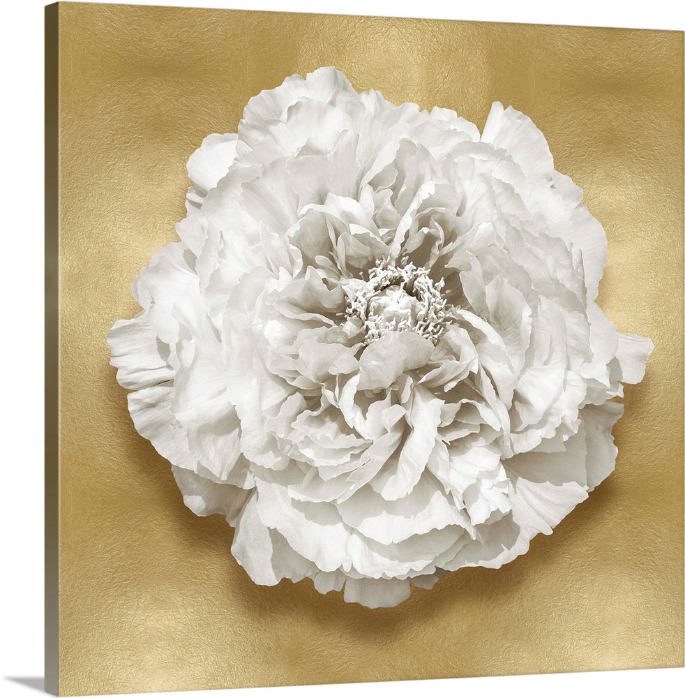 Square decor with a white flower on a gold background.