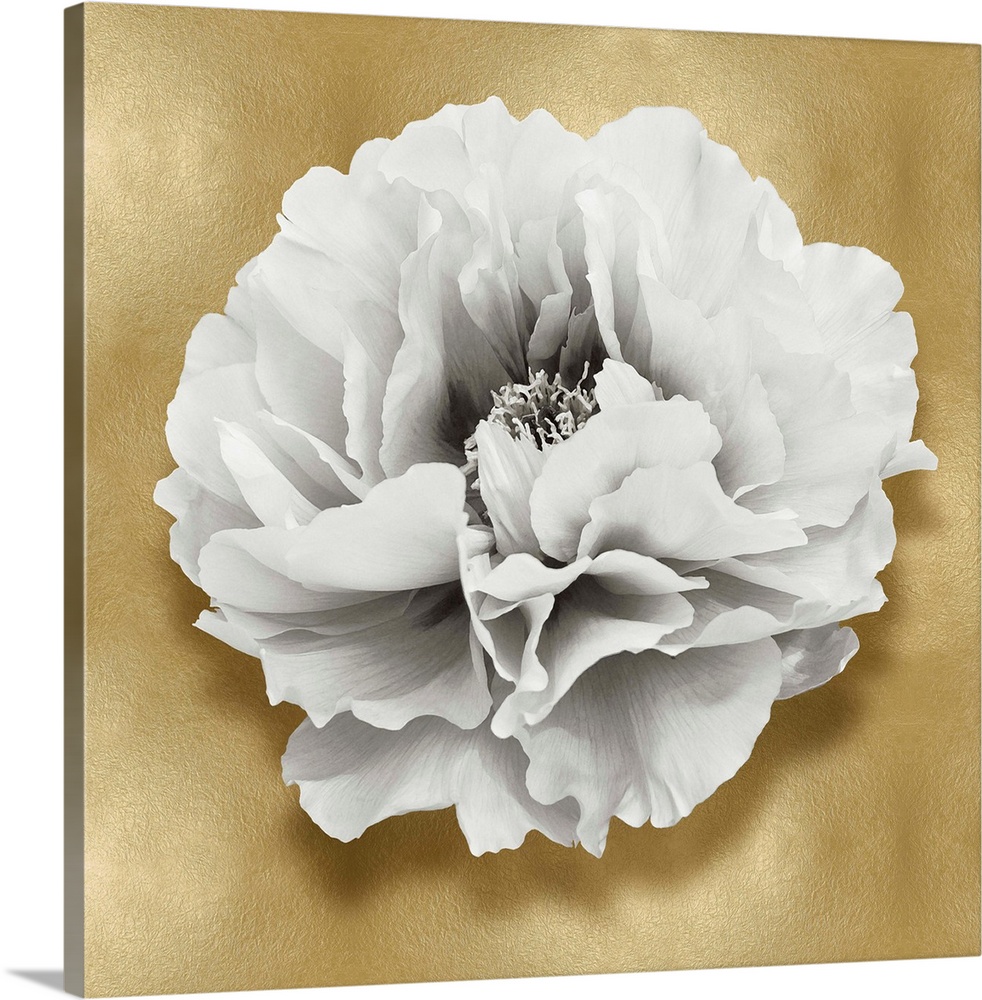 Square decor with a white carnation flower on a gold background.