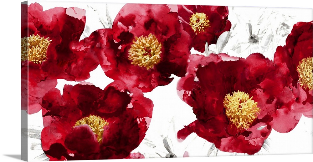 Bright red flowers with golden stigmas on a white background with faint black illustrations of flowers.