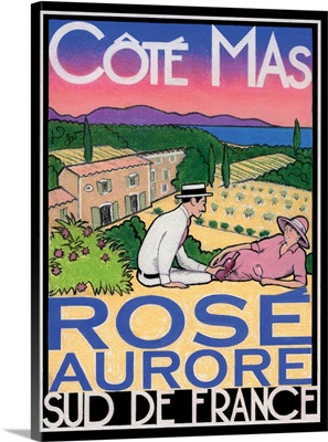 Rose Aurore