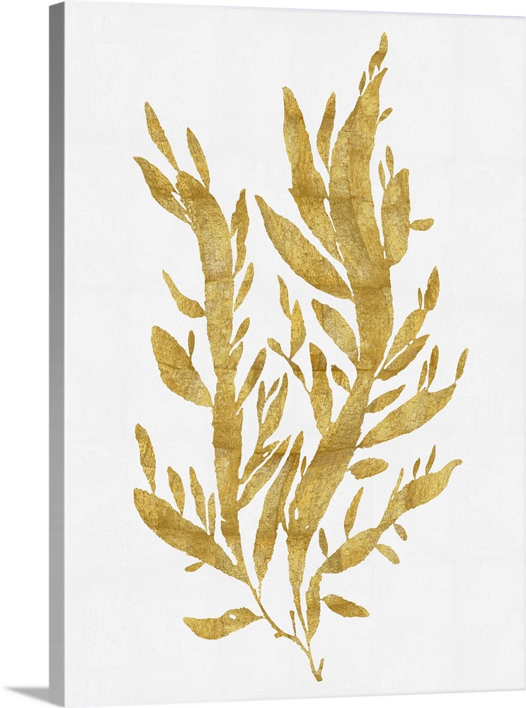Gold silhouette of seaweedl on a solid white background.