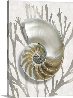 Shell Coral Silver II