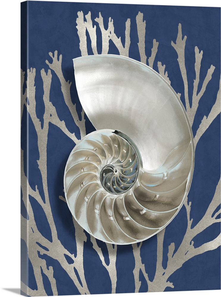 Shell Coral Silver on Blue II