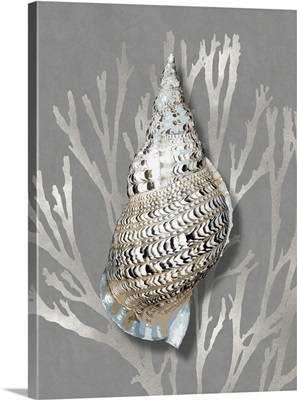 Shell Coral Silver on Gray I